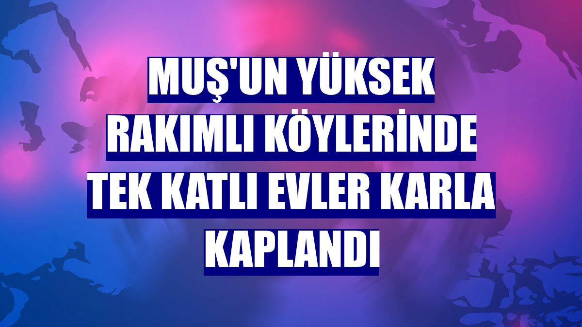 Muş'un yüksek rakımlı köylerinde tek katlı evler karla kaplandı