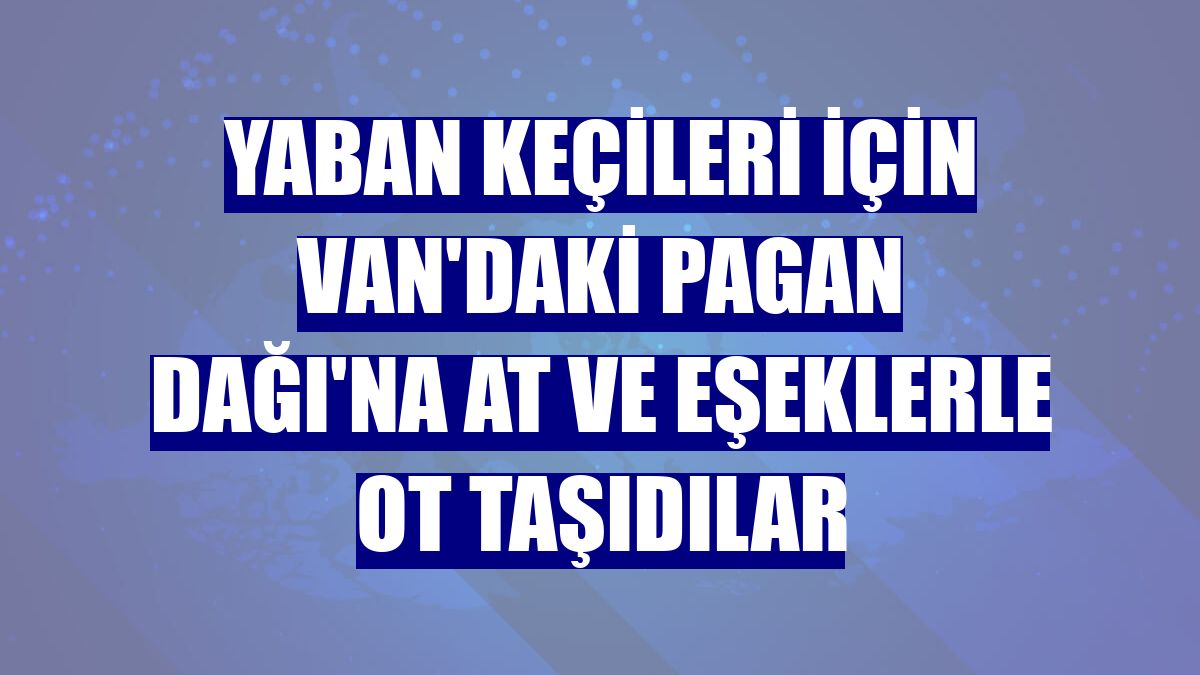 Yaban keçileri için Van'daki Pagan Dağı'na at ve eşeklerle ot taşıdılar