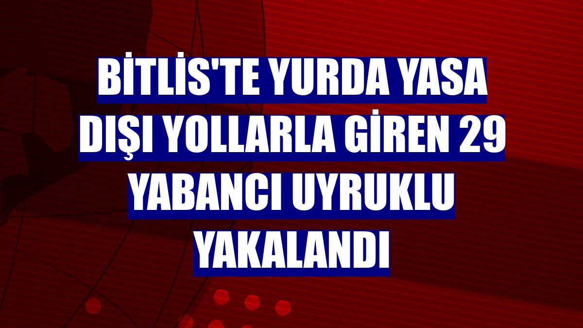 Bitlis'te yurda yasa dışı yollarla giren 29 yabancı uyruklu yakalandı