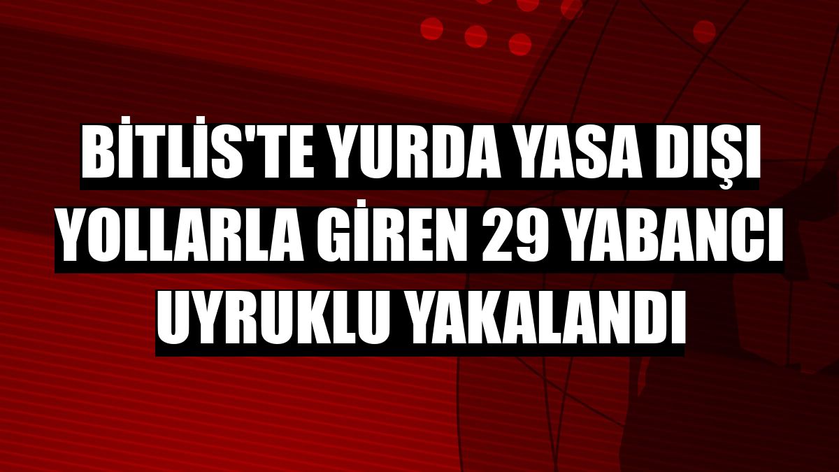 Bitlis'te yurda yasa dışı yollarla giren 29 yabancı uyruklu yakalandı