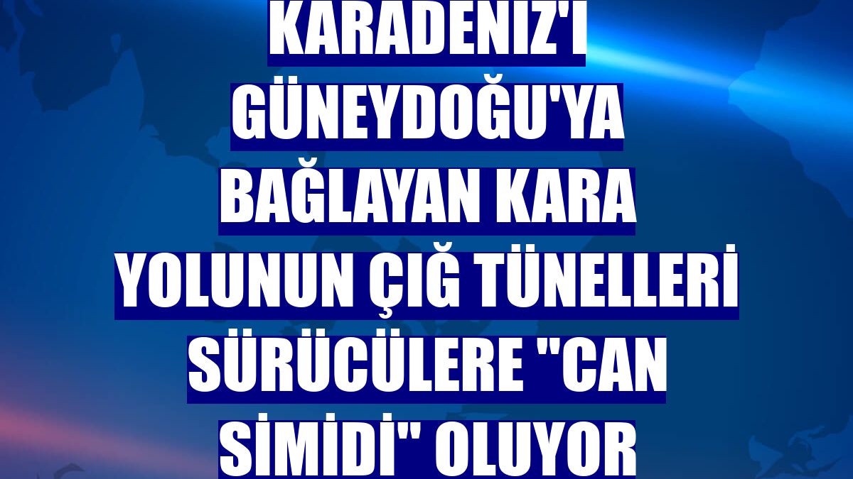 Karadeniz'i Güneydoğu'ya bağlayan kara yolunun çığ tünelleri sürücülere "can simidi" oluyor