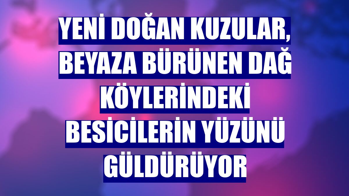 Yeni doğan kuzular, beyaza bürünen dağ köylerindeki besicilerin yüzünü güldürüyor