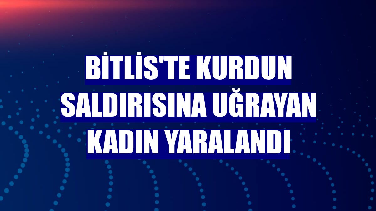 Bitlis'te kurdun saldırısına uğrayan kadın yaralandı