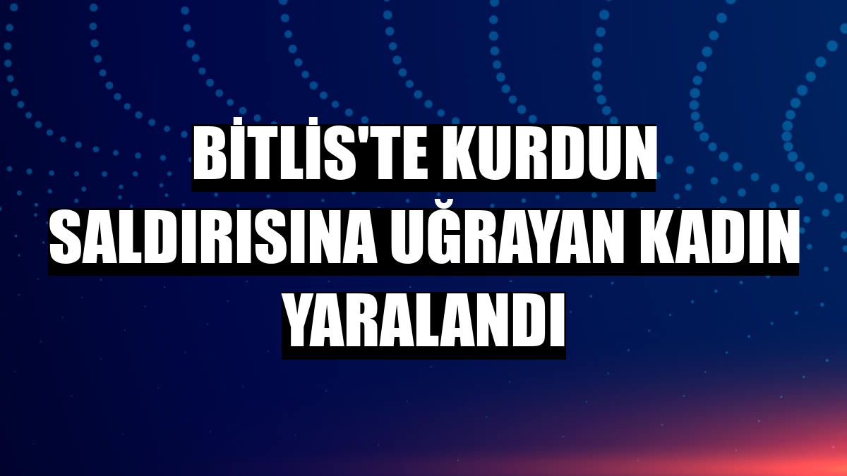 Bitlis'te kurdun saldırısına uğrayan kadın yaralandı