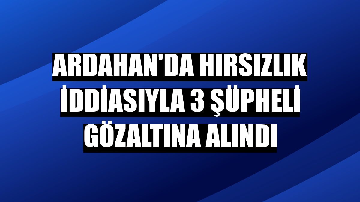 Ardahan'da hırsızlık iddiasıyla 3 şüpheli gözaltına alındı