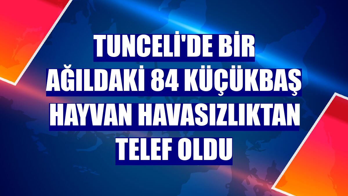 Tunceli'de bir ağıldaki 84 küçükbaş hayvan havasızlıktan telef oldu