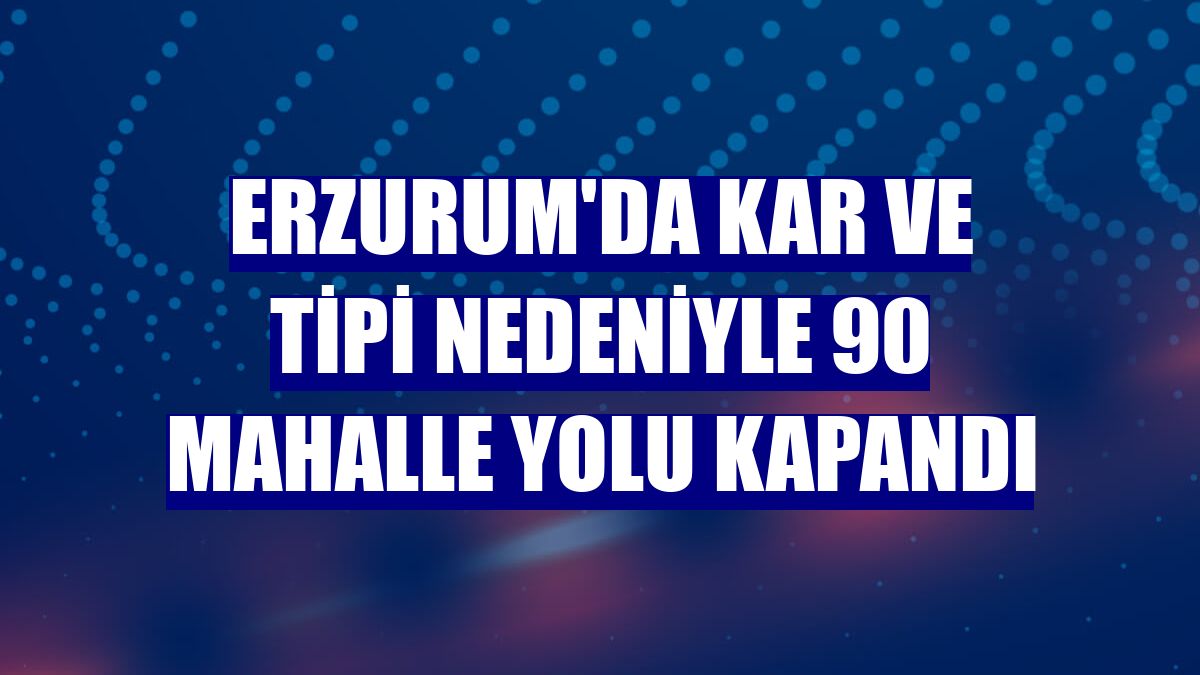 Erzurum'da kar ve tipi nedeniyle 90 mahalle yolu kapandı