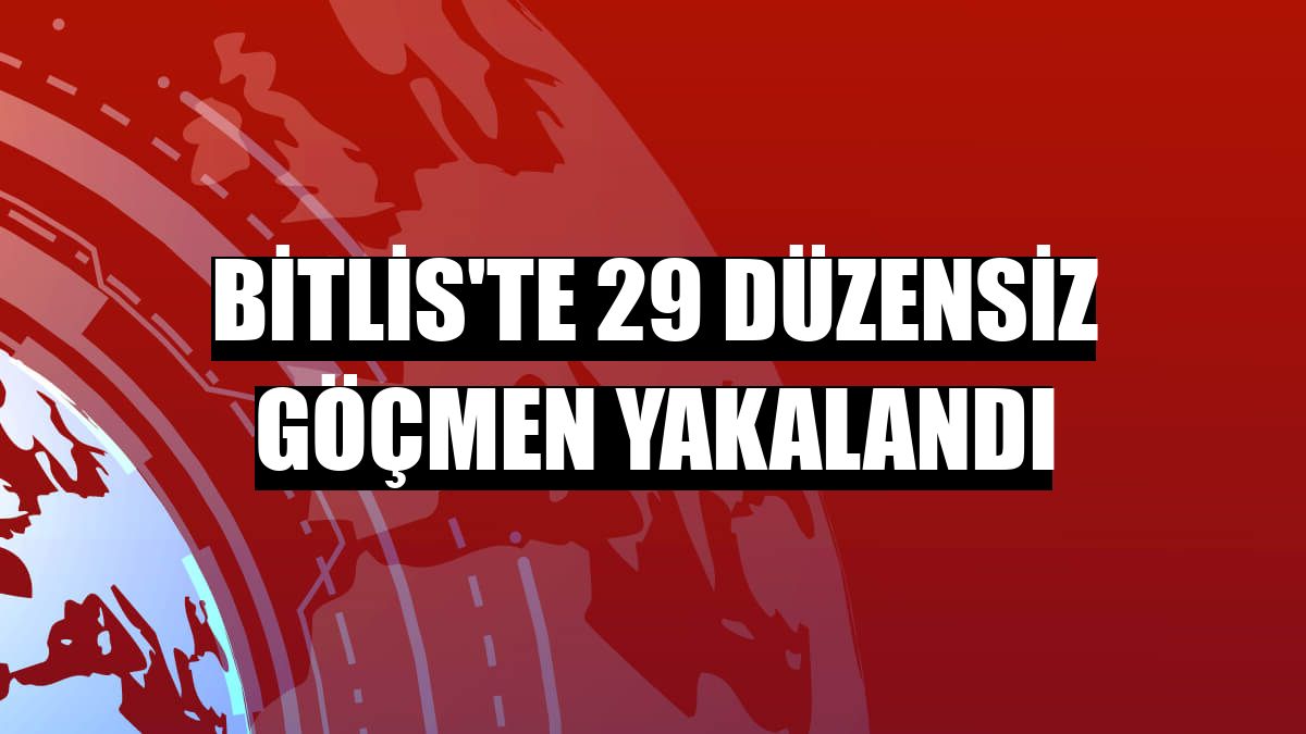 Bitlis'te 29 düzensiz göçmen yakalandı