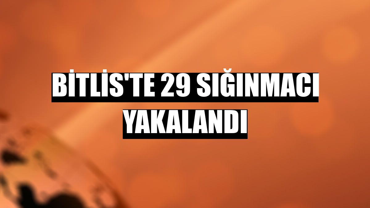 Bitlis'te 29 sığınmacı yakalandı