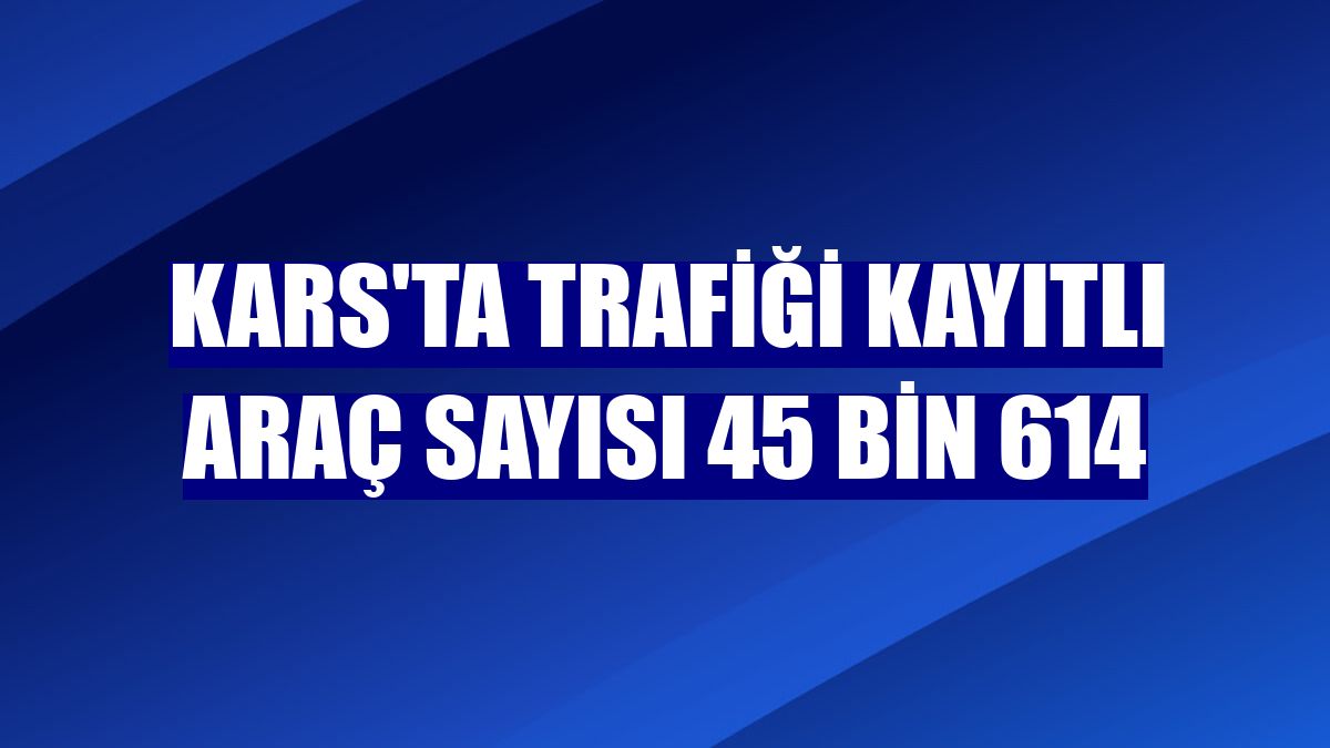 Kars'ta trafiği kayıtlı araç sayısı 45 bin 614
