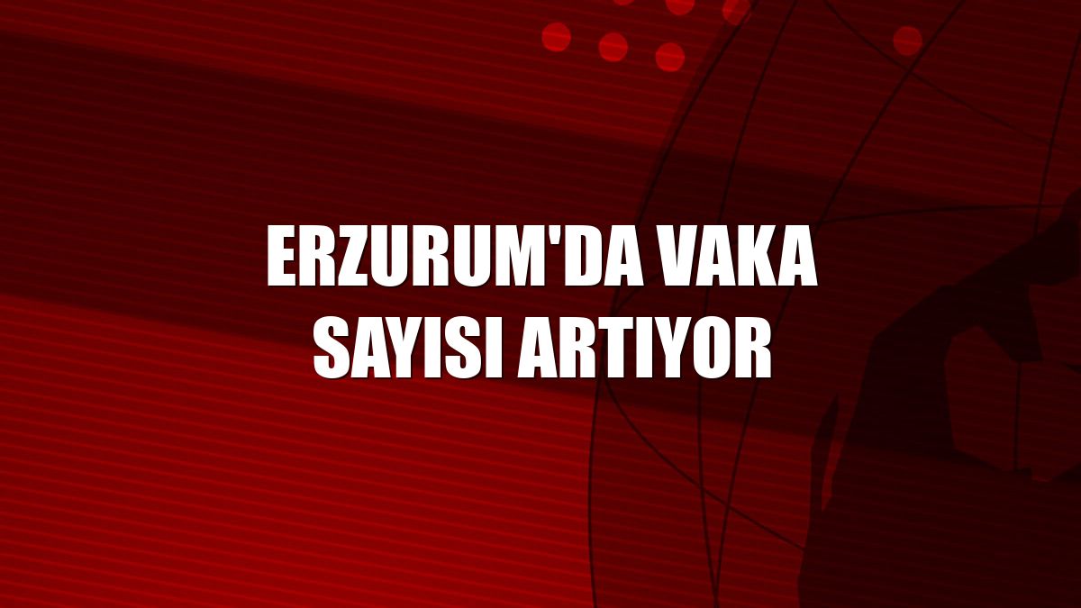 Erzurum'da vaka sayısı artıyor
