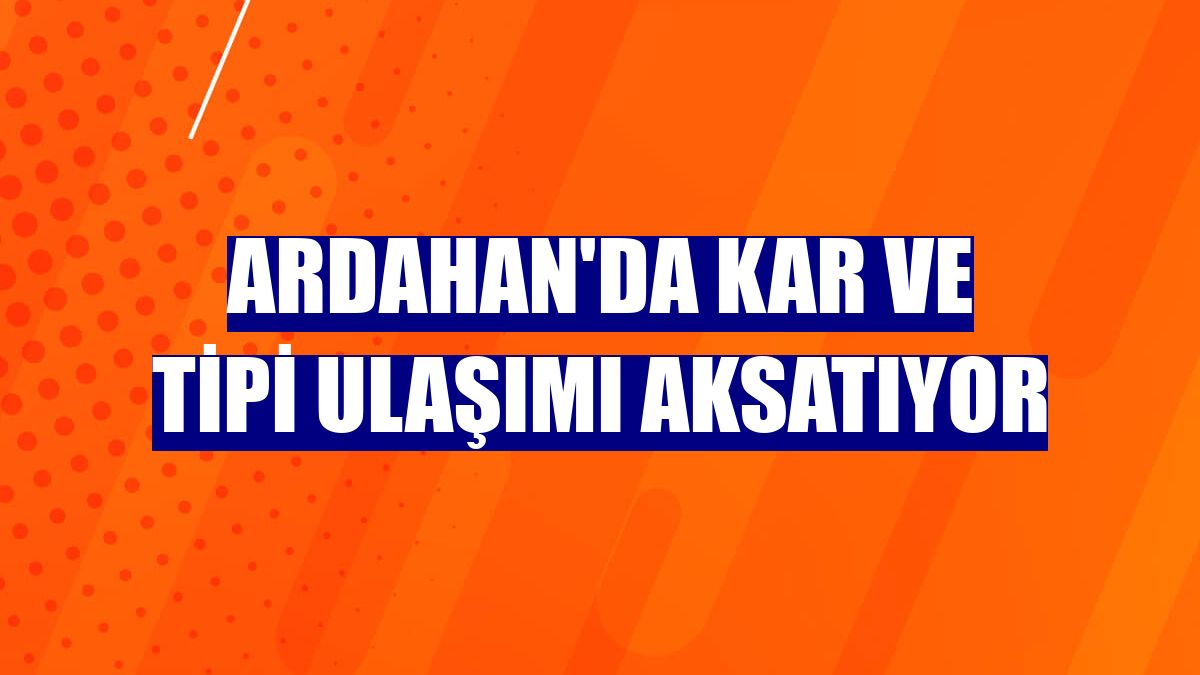 Ardahan'da kar ve tipi ulaşımı aksatıyor