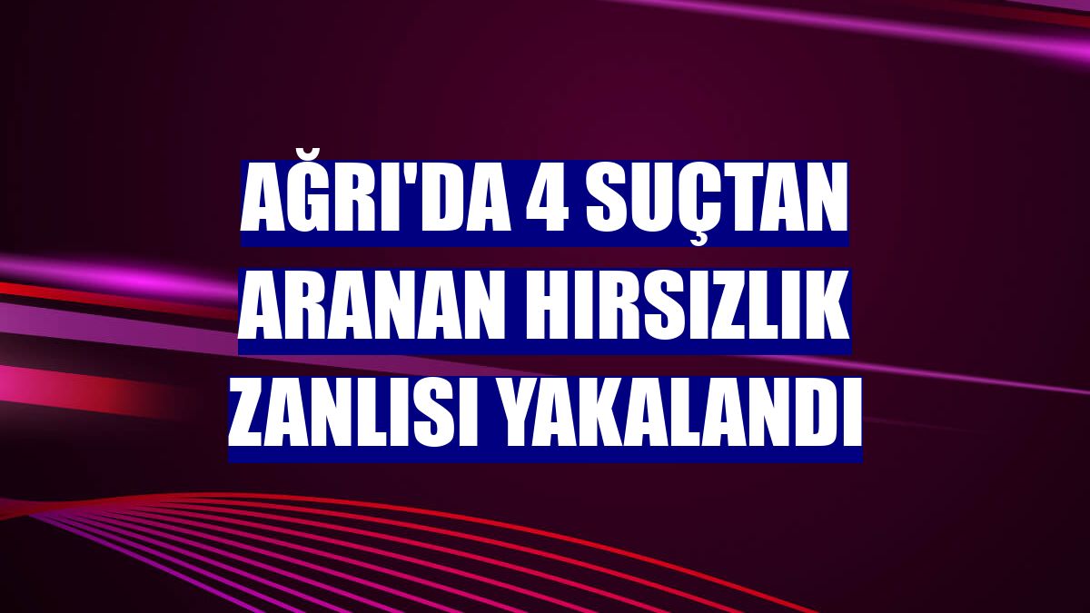 Ağrı'da 4 suçtan aranan hırsızlık zanlısı yakalandı