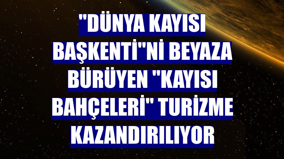 "Dünya kayısı başkenti"ni beyaza bürüyen "kayısı bahçeleri" turizme kazandırılıyor