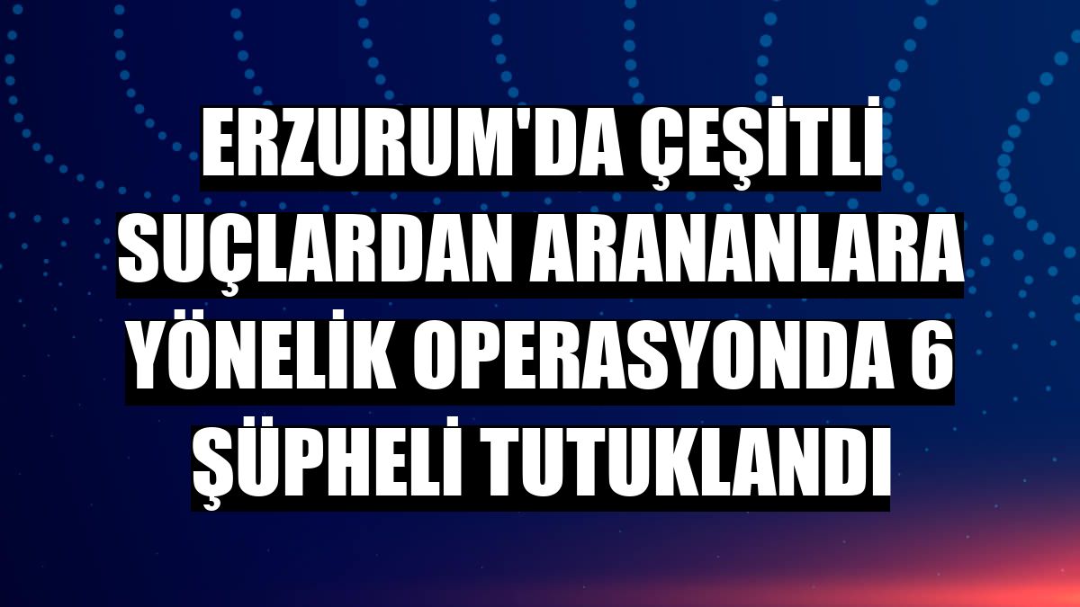 Erzurum'da çeşitli suçlardan arananlara yönelik operasyonda 6 şüpheli tutuklandı