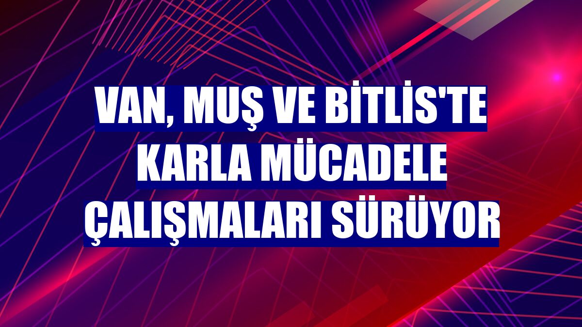 Van, Muş ve Bitlis'te karla mücadele çalışmaları sürüyor
