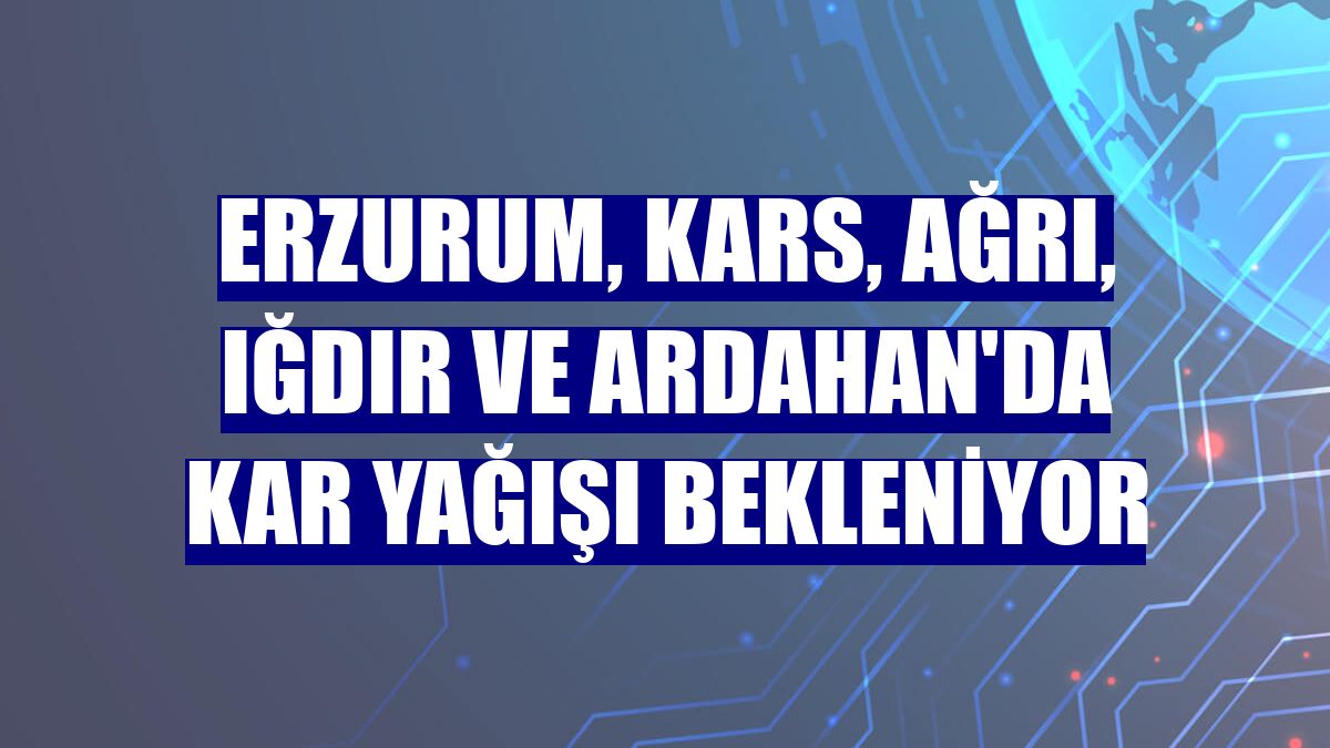 Erzurum, Kars, Ağrı, Iğdır ve Ardahan'da kar yağışı bekleniyor