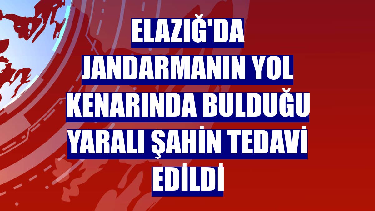 Elazığ'da jandarmanın yol kenarında bulduğu yaralı şahin tedavi edildi
