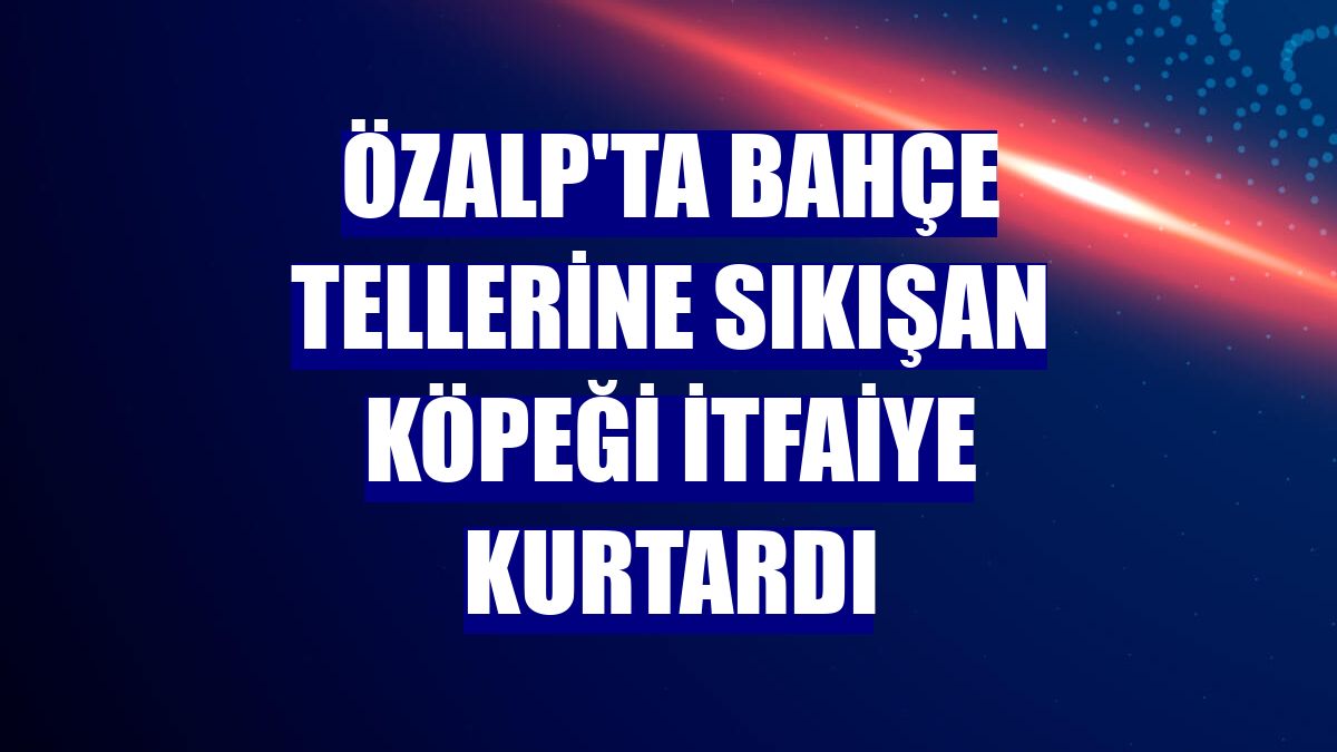 Özalp'ta bahçe tellerine sıkışan köpeği itfaiye kurtardı