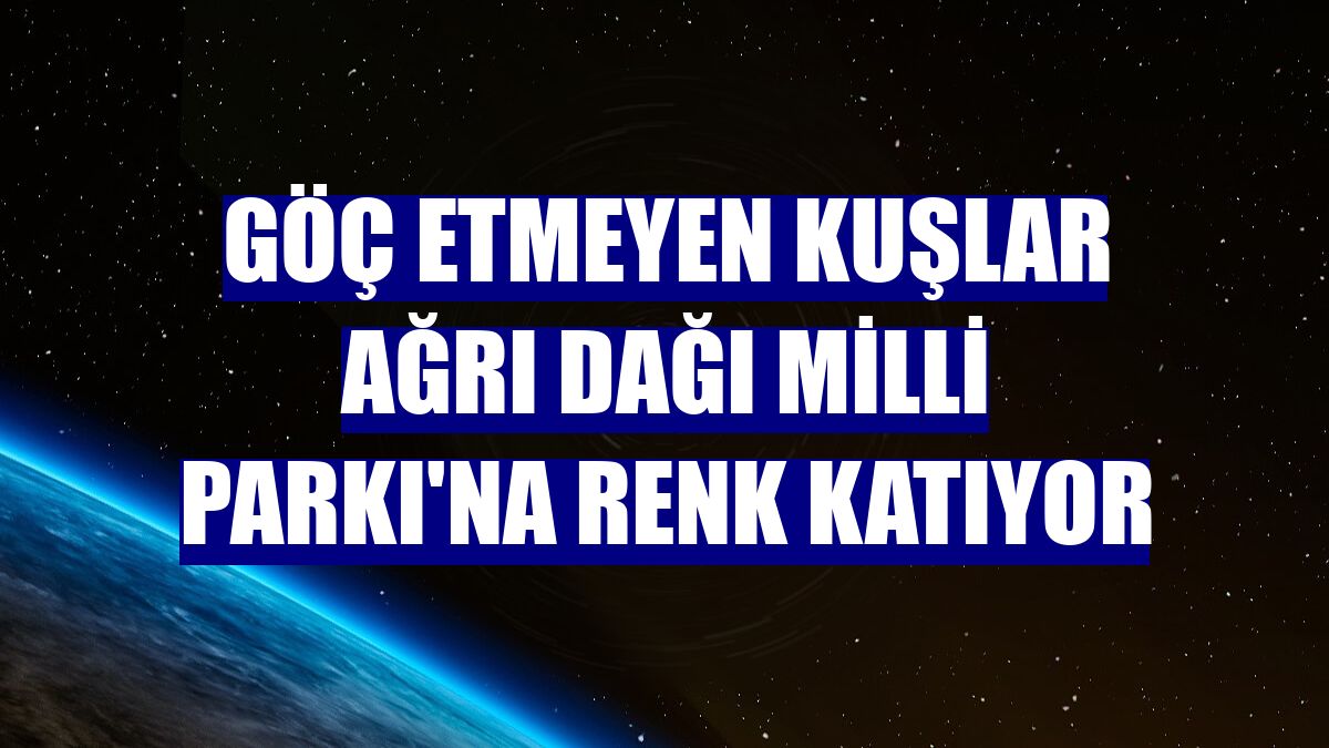 Göç etmeyen kuşlar Ağrı Dağı Milli Parkı'na renk katıyor