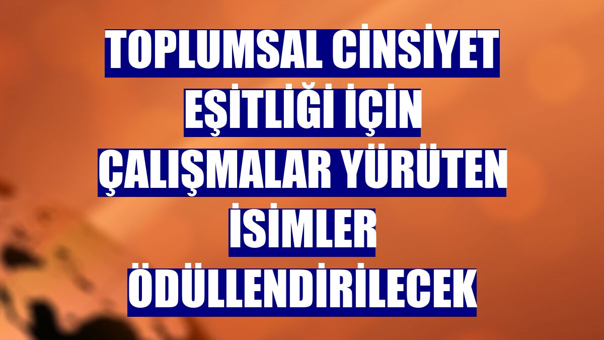 Toplumsal cinsiyet eşitliği için çalışmalar yürüten isimler ödüllendirilecek