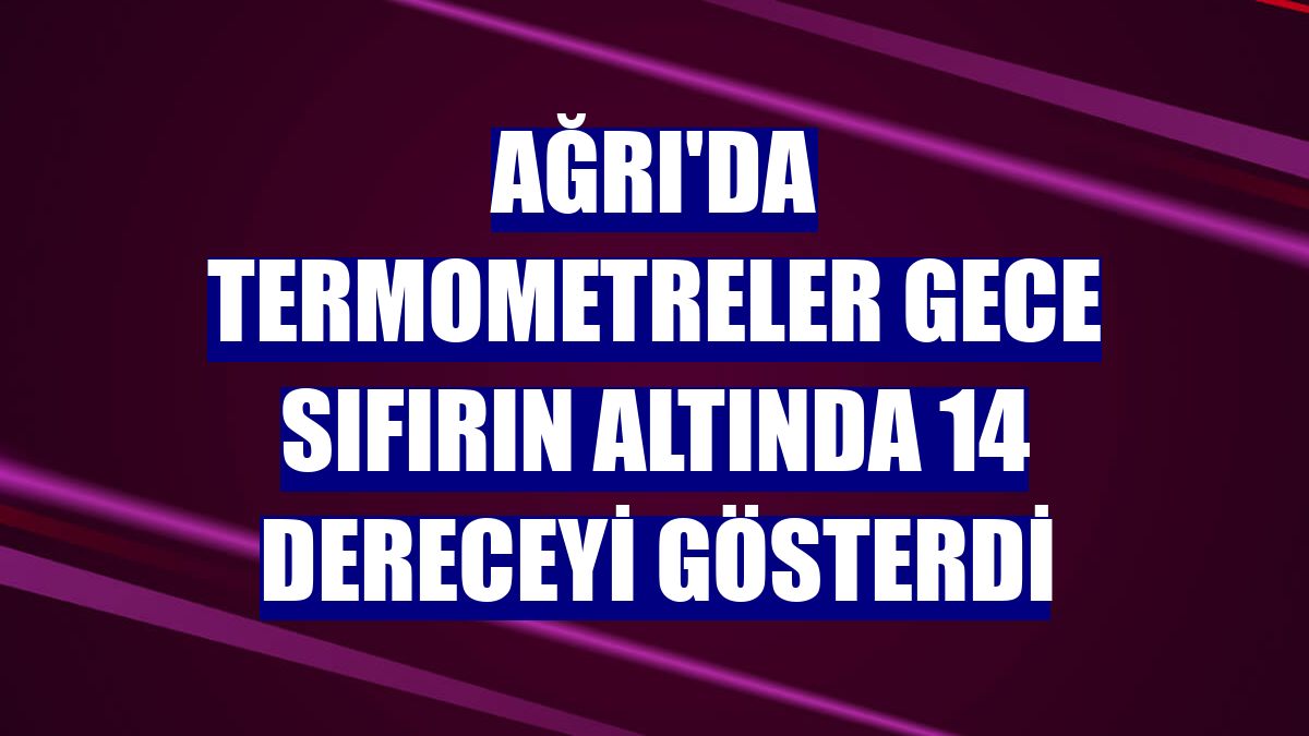 Ağrı'da termometreler gece sıfırın altında 14 dereceyi gösterdi