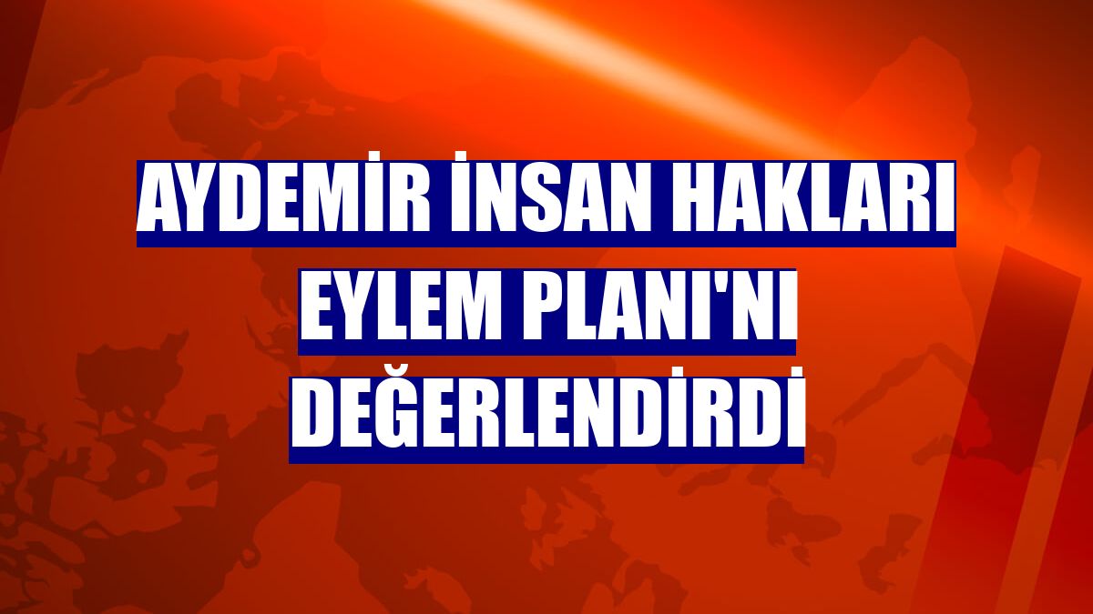 Aydemir İnsan Hakları Eylem Planı'nı değerlendirdi