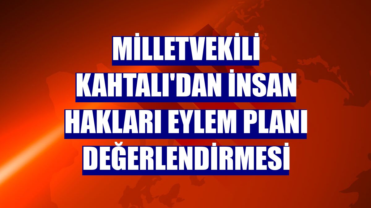 Milletvekili Kahtalı'dan İnsan Hakları Eylem Planı değerlendirmesi