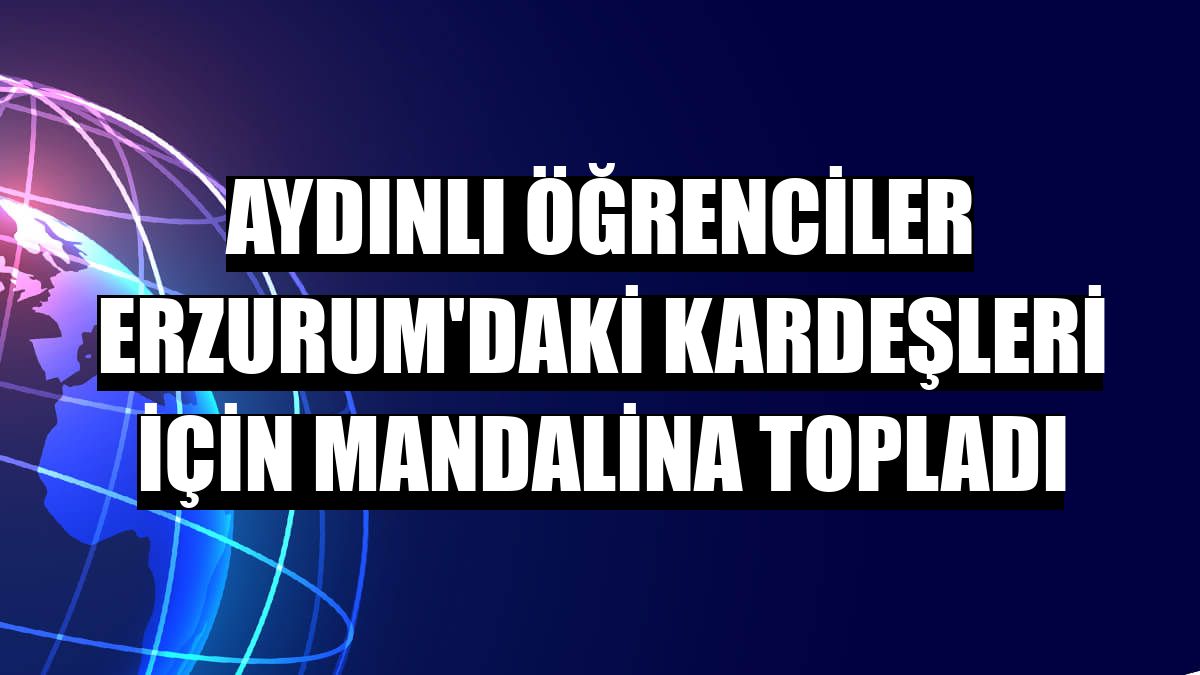 Aydınlı öğrenciler Erzurum'daki kardeşleri için mandalina topladı