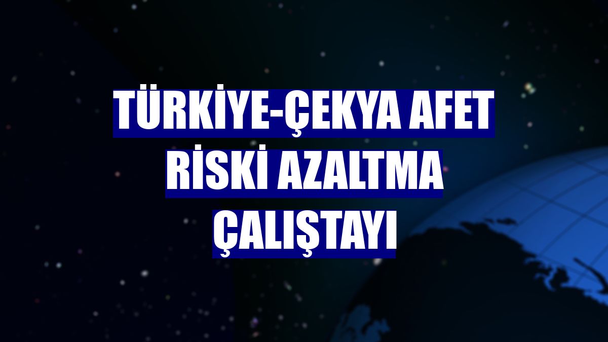 Türkiye-Çekya Afet Riski Azaltma Çalıştayı