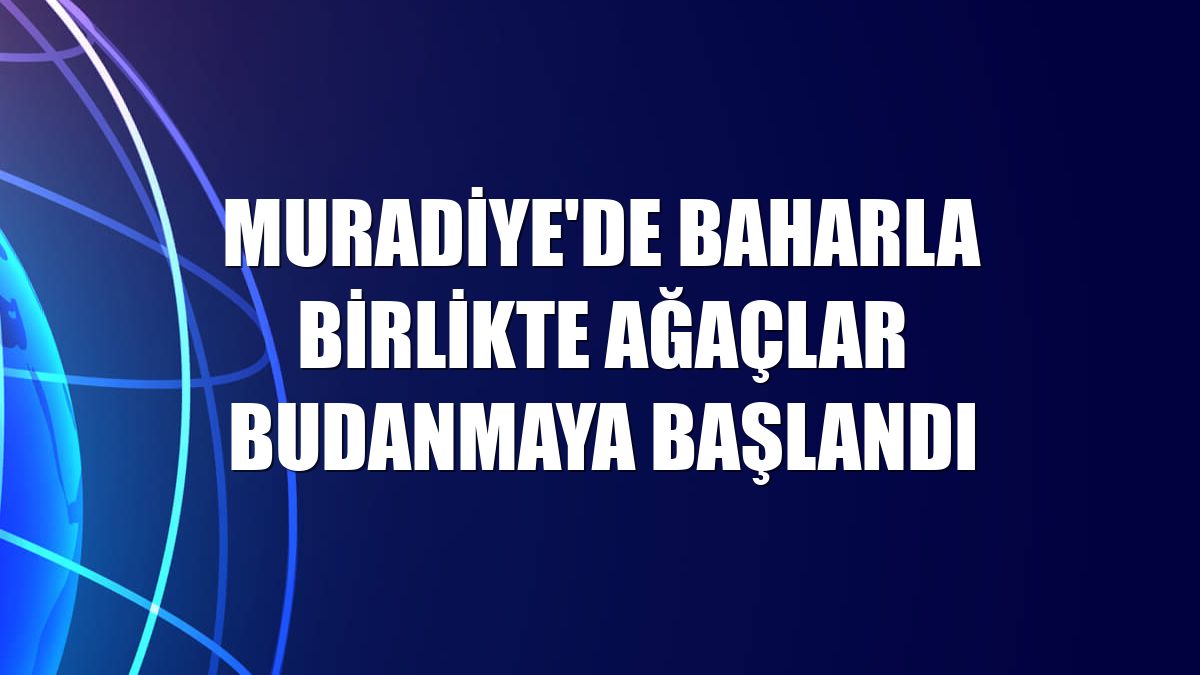Muradiye'de baharla birlikte ağaçlar budanmaya başlandı