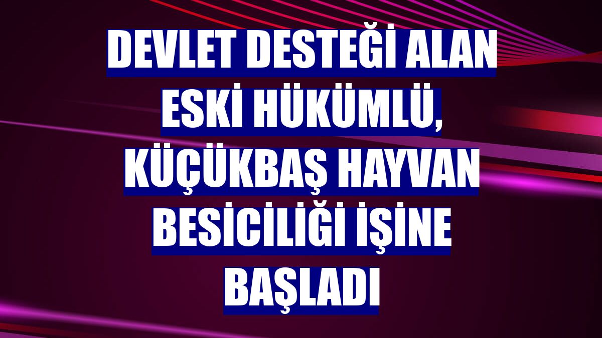 Devlet desteği alan eski hükümlü, küçükbaş hayvan besiciliği işine başladı