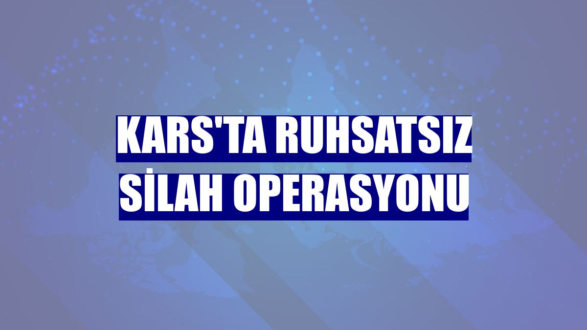 Kars'ta ruhsatsız silah operasyonu
