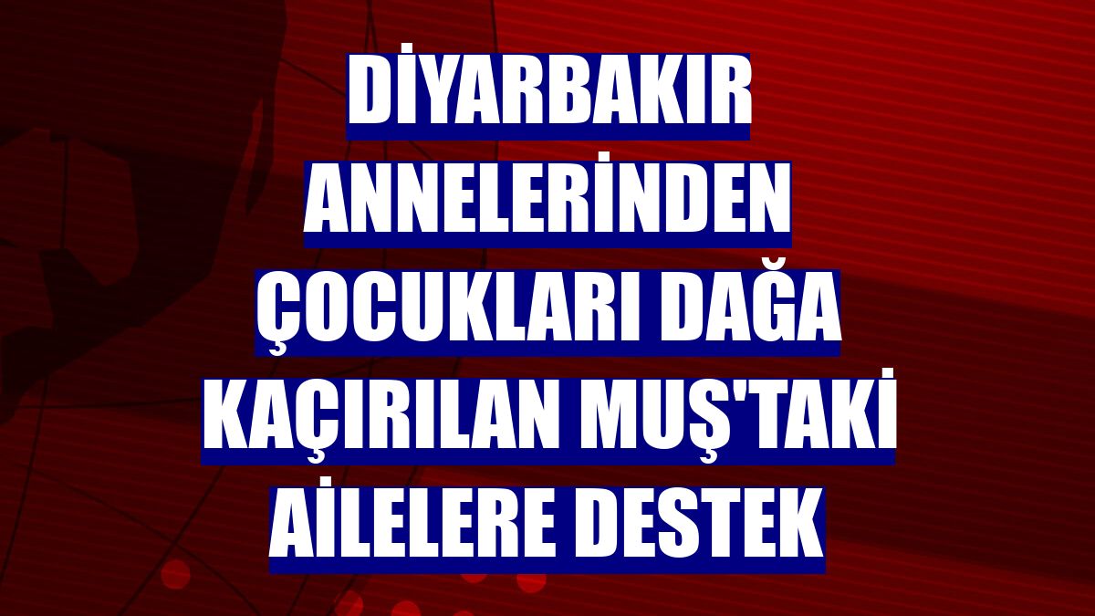 Diyarbakır annelerinden çocukları dağa kaçırılan Muş'taki ailelere destek