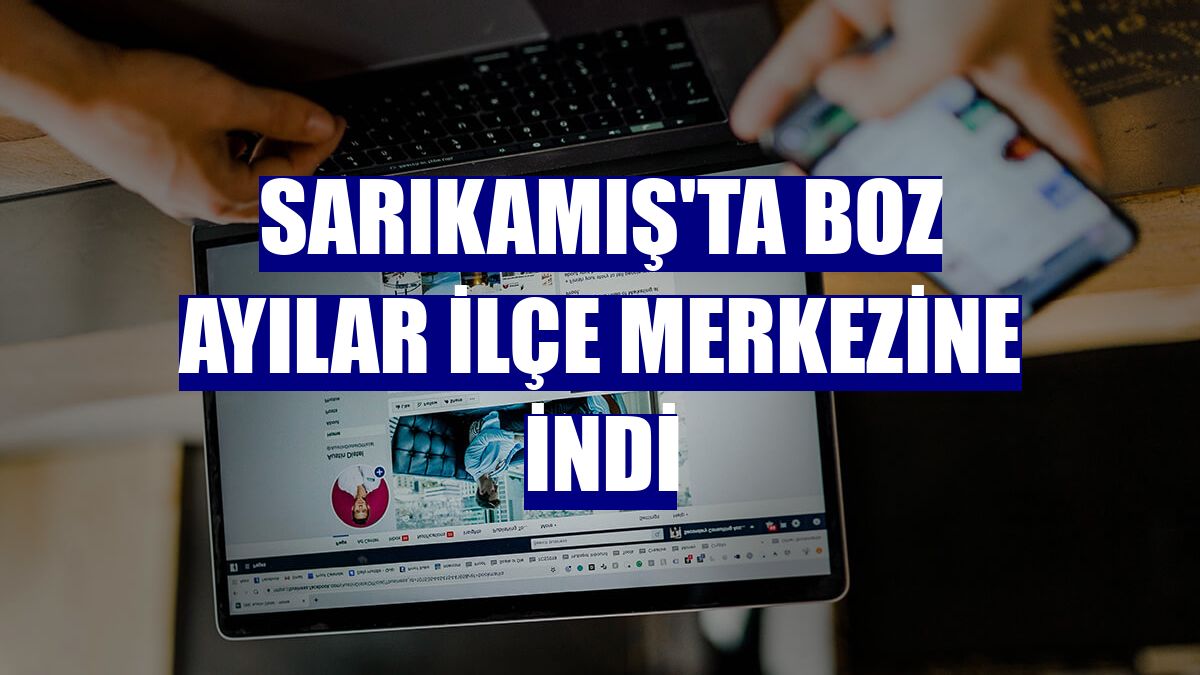 Sarıkamış'ta boz ayılar ilçe merkezine indi