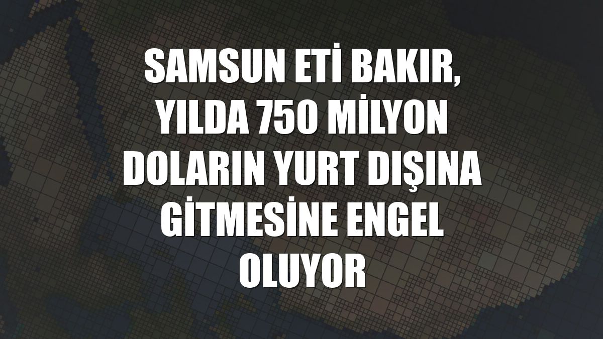 Samsun Eti Bakır, yılda 750 milyon doların yurt dışına gitmesine engel