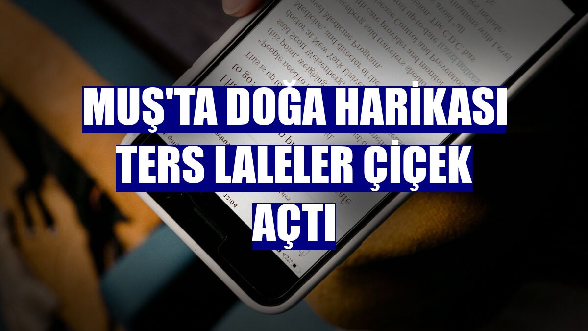 Muş'ta doğa harikası ters laleler çiçek açtı