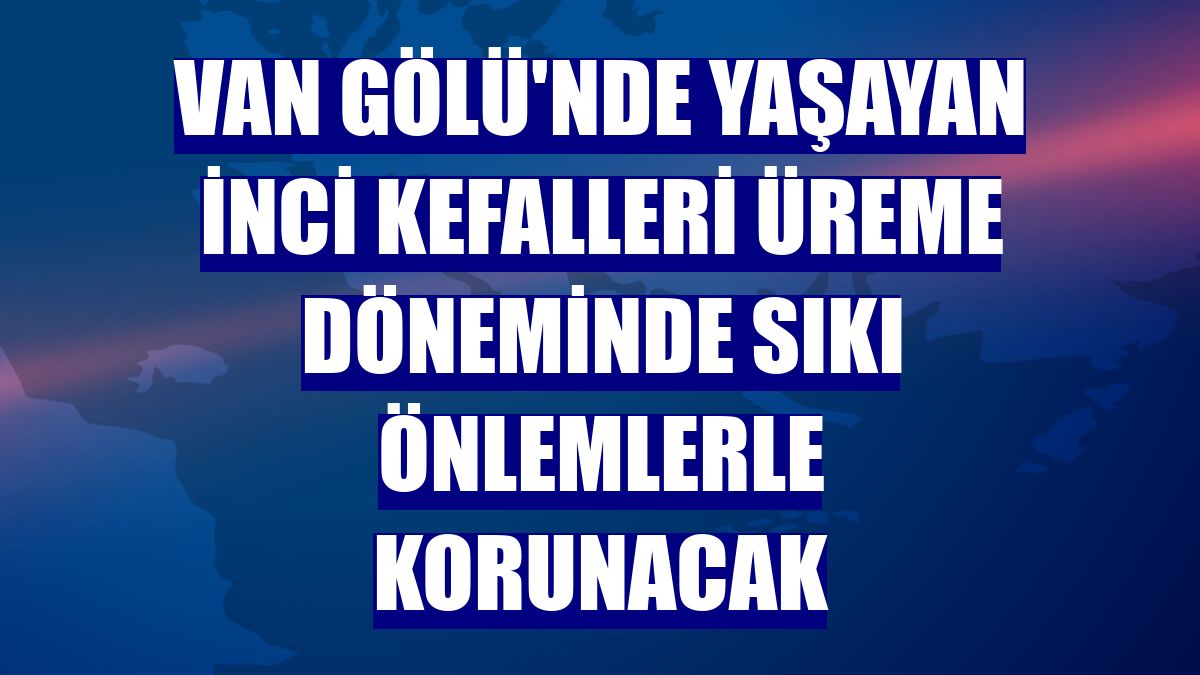 Van Gölü'nde yaşayan inci kefalleri üreme döneminde sıkı önlemlerle korunacak