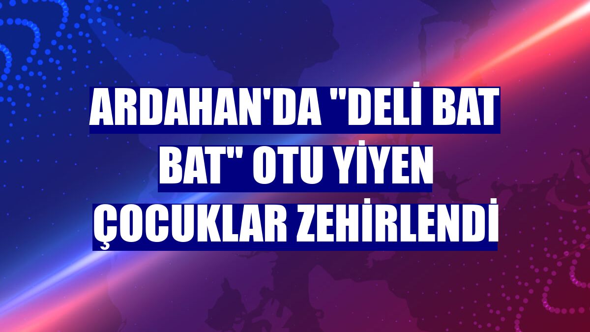 Ardahan'da "deli bat bat" otu yiyen çocuklar zehirlendi
