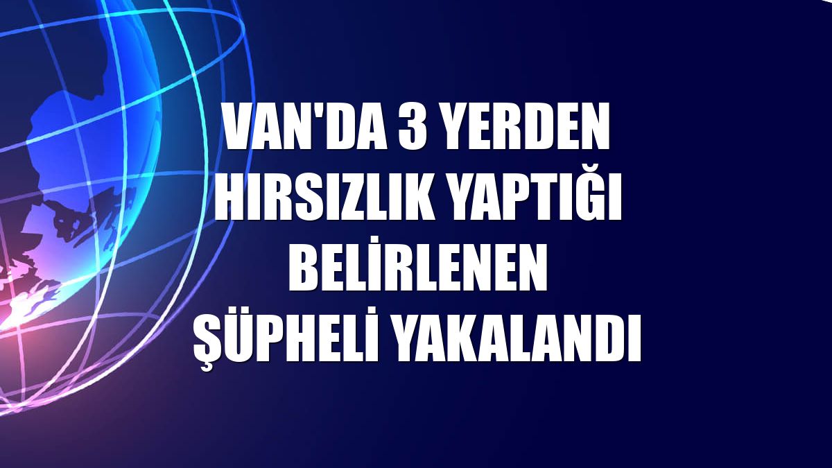 Van'da 3 yerden hırsızlık yaptığı belirlenen şüpheli yakalandı
