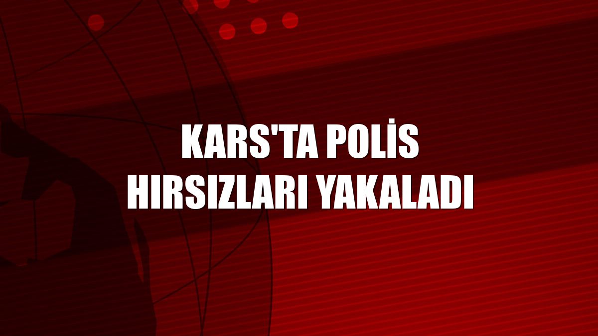 Kars'ta polis hırsızları yakaladı