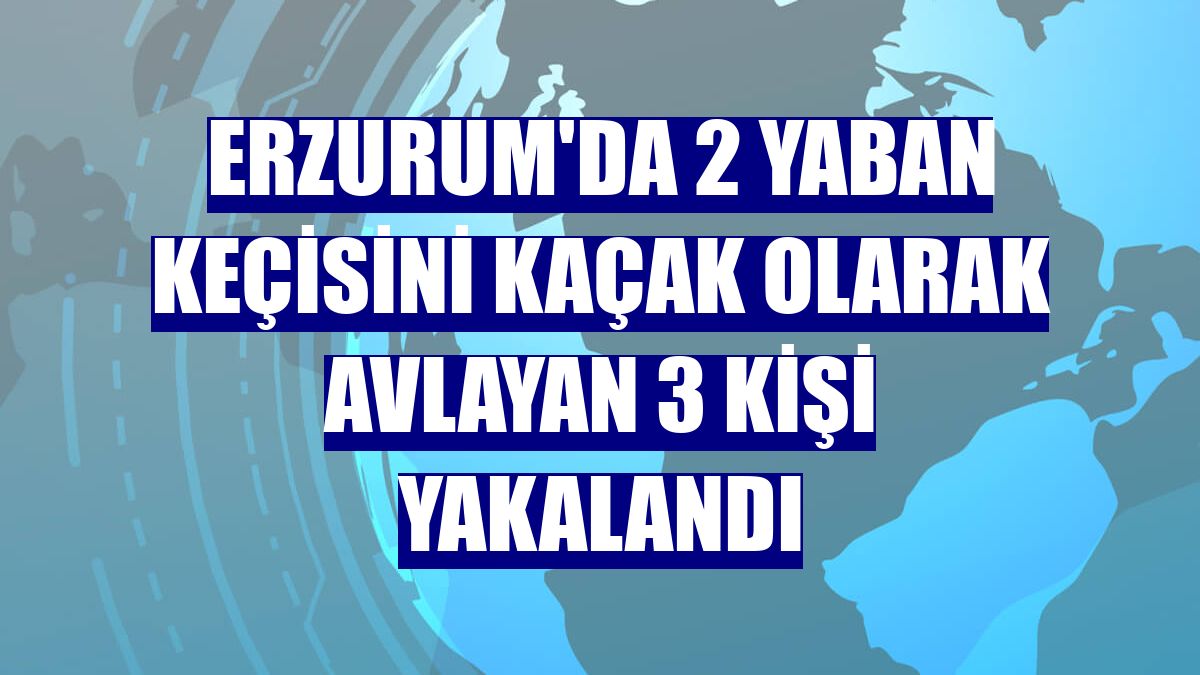 Erzurum'da 2 yaban keçisini kaçak olarak avlayan 3 kişi yakalandı