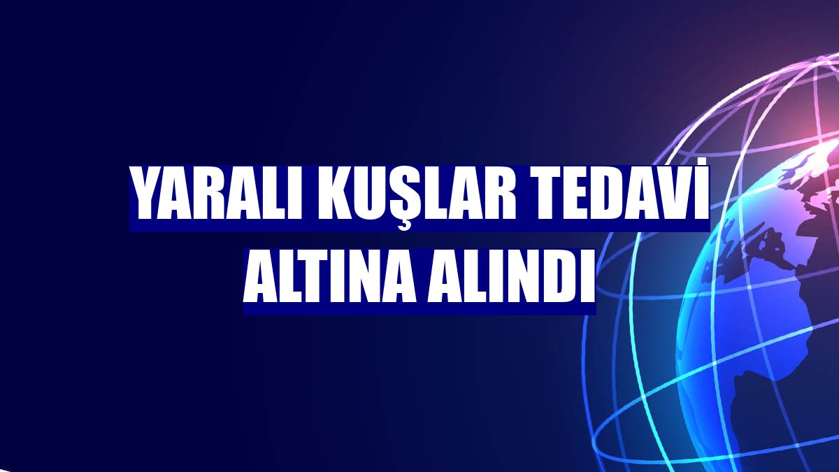 Yaralı kuşlar tedavi altına alındı