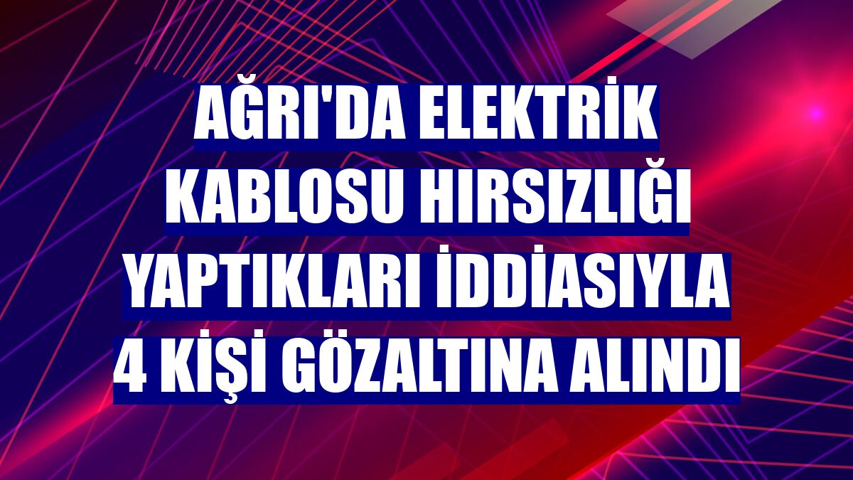 Ağrı'da elektrik kablosu hırsızlığı yaptıkları iddiasıyla 4 kişi gözaltına alındı