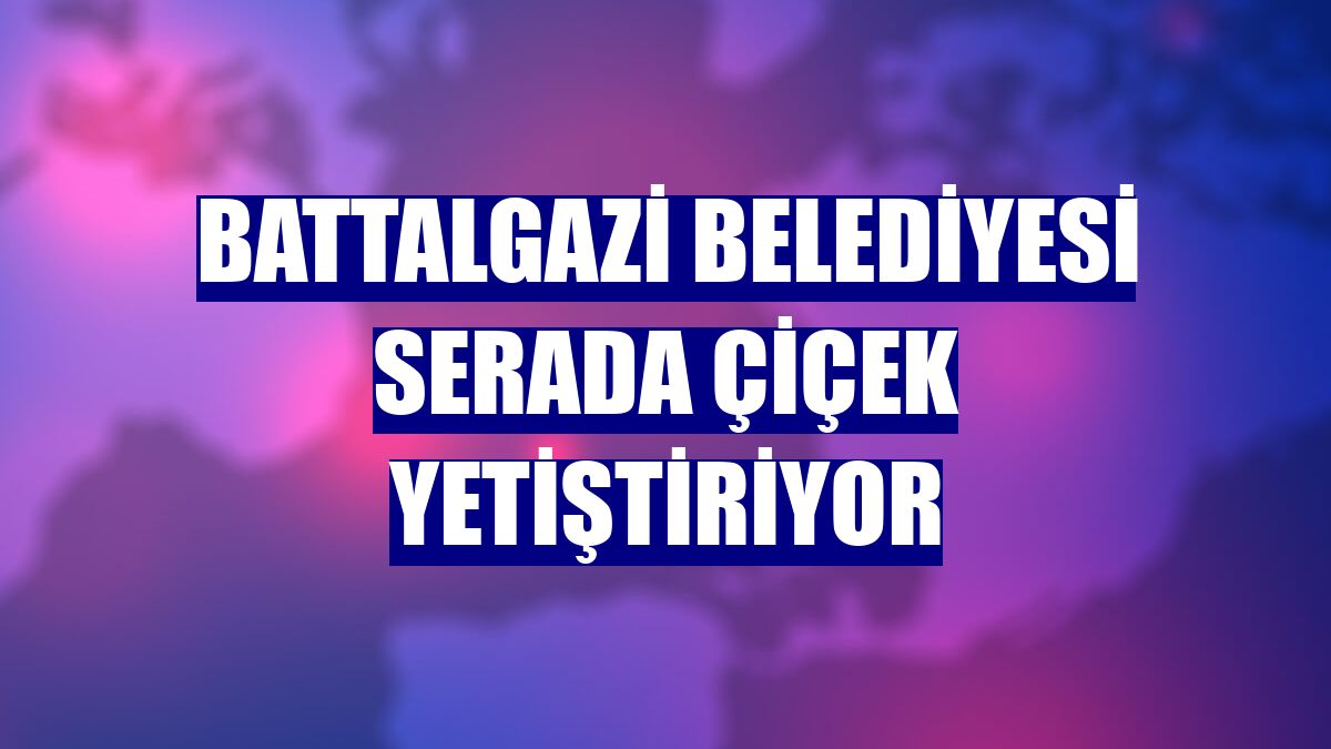 Battalgazi Belediyesi serada çiçek yetiştiriyor