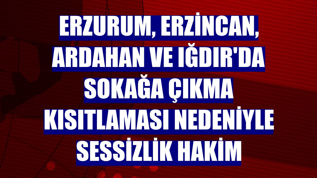 Erzurum, Erzincan, Ardahan ve Iğdır'da sokağa çıkma kısıtlaması nedeniyle sessizlik hakim