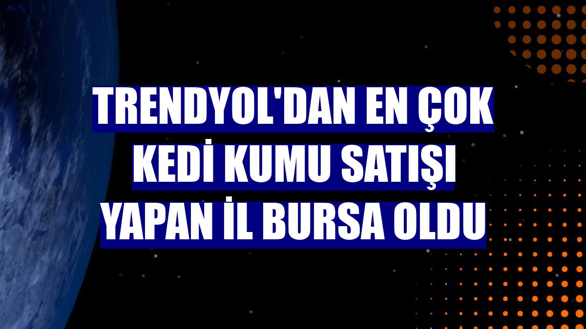 Trendyol'dan en çok kedi kumu satışı yapan il Bursa oldu