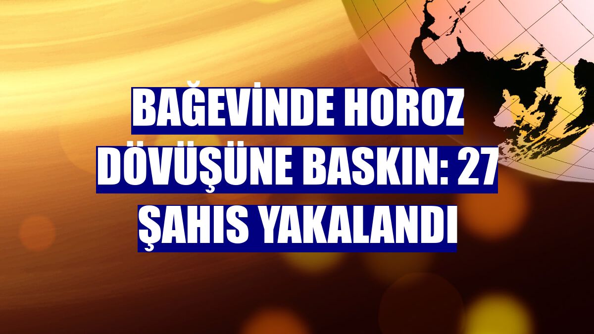 Bağevinde horoz dövüşüne baskın: 27 şahıs yakalandı