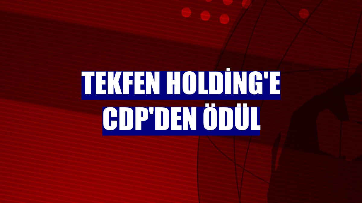 Tekfen Holding'e CDP'den ödül