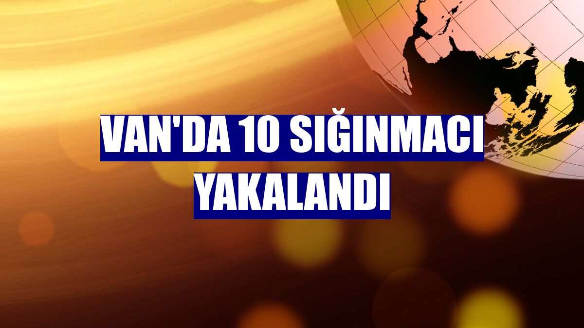 Van'da 10 sığınmacı yakalandı